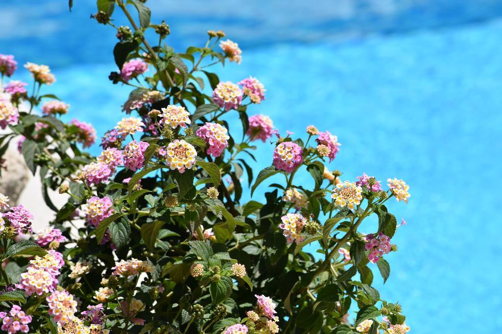 Affittacamere B&B La Villa Dei Graniti Villasimius Kültér fotó